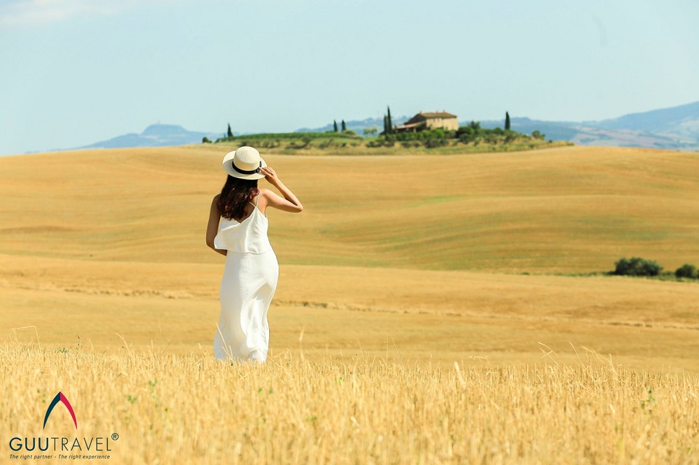 Cánh đồng lúa mì tại Tuscany Ý