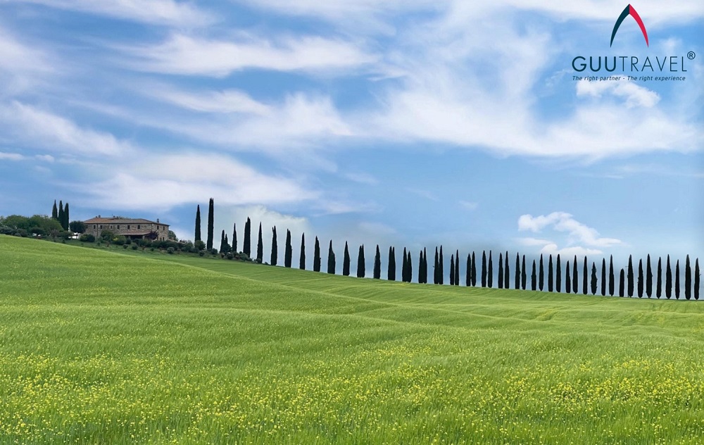Hàng cây bách tại Tuscany