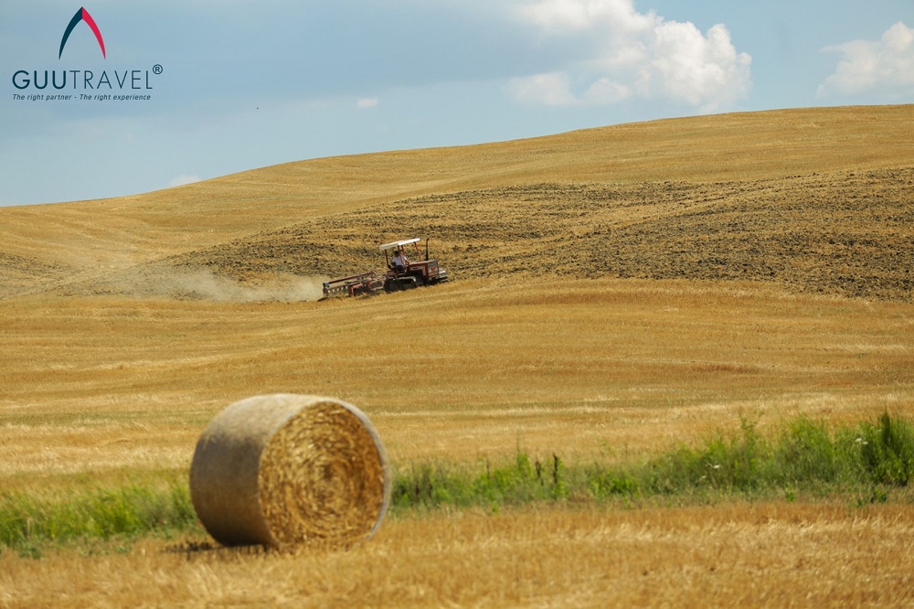 Cánh đồng cuối mùa vụ ở Tuscany