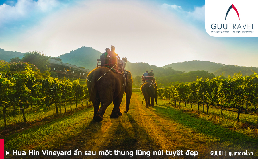 Hua Hin Vineyard hay Monsoon Valley Vineyard ẩn sau một thung lũng núi tuyệt đẹp