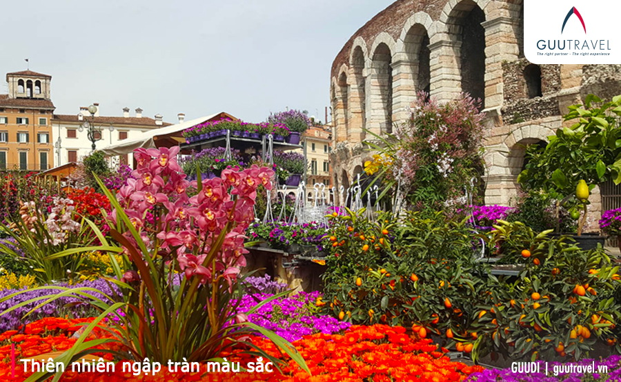 THIÊN NHIÊN NGẬP TRÀN MÀU SẮC