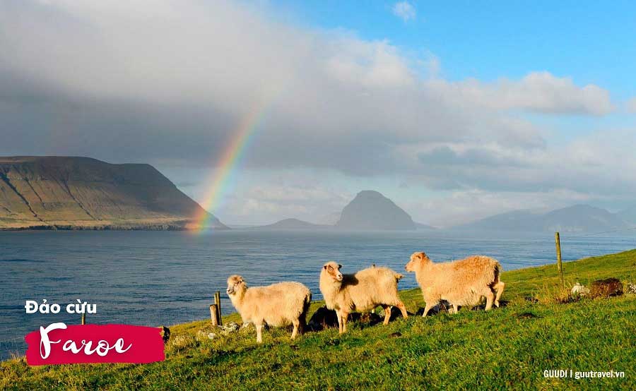 Đảo cừu Faroe yên bình, đẹp trong xanh