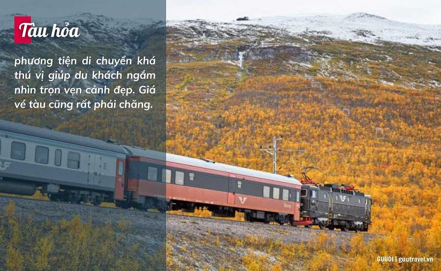 Di chuyển bằng tàu hỏa là lựa chọn khá thú vị khi du lịch Thụy Điển