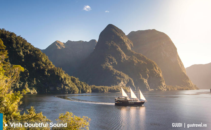 Cruise in Doubtful Sound