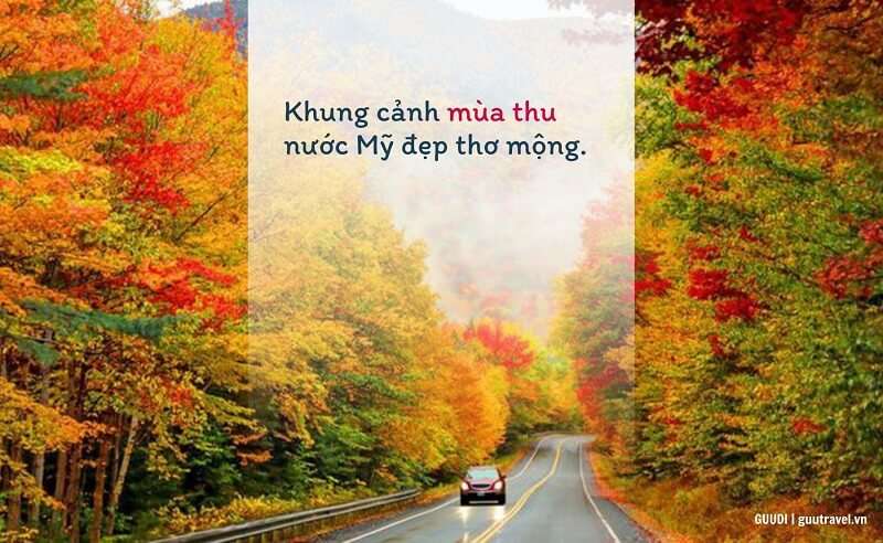 Khung cảnh mùa thu nước Mỹ đẹp cuốn hút