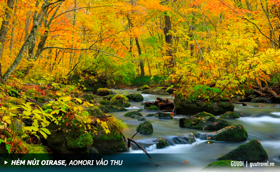Hẻm núi Oirase, Aomori vào thu