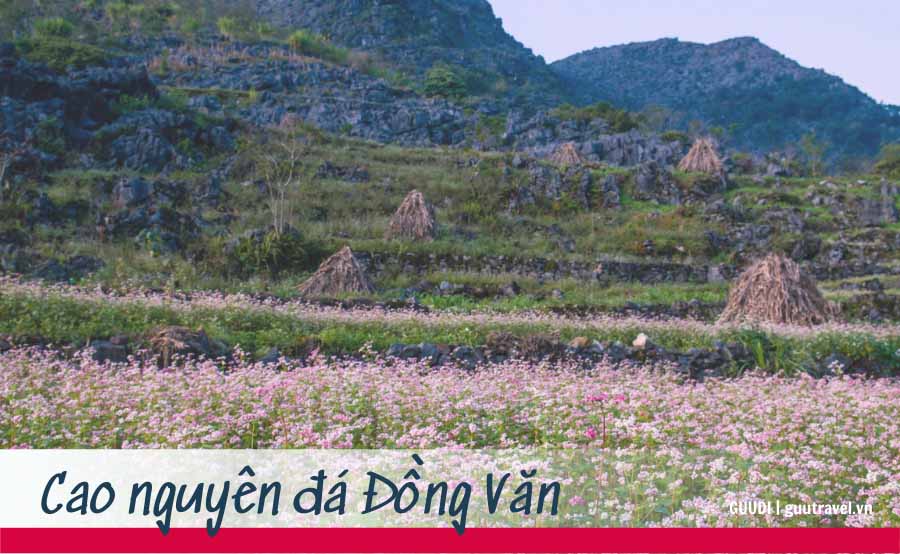 Cao nguyên đá Đồng Văn - Hà Giang đẹp hùng vĩ