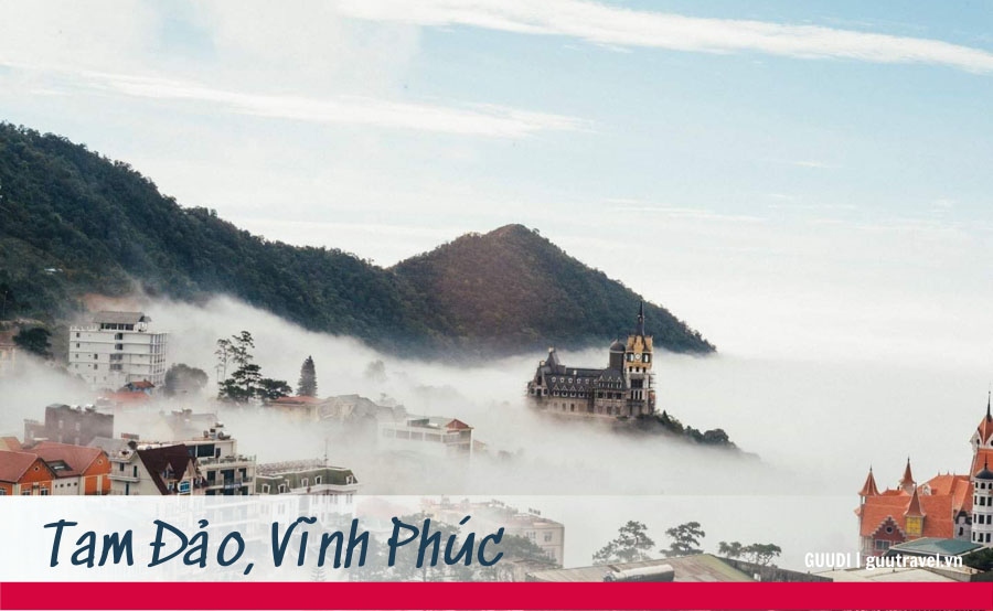 Du xuân miền Bắc đến ngay Tam Đảo: điểm check-in đẹp như phim