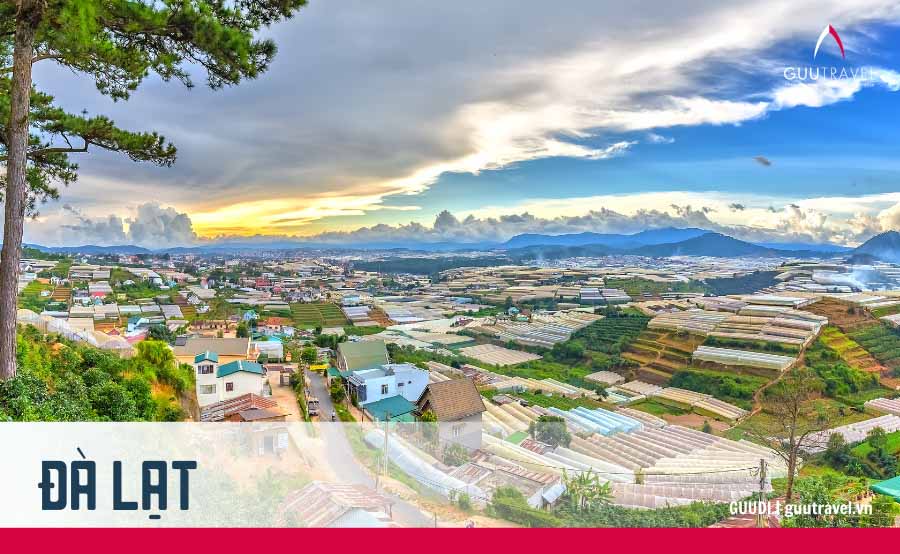 Đà Lạt là một trong những địa điểm du lịch mùa Tết hấp dẫn