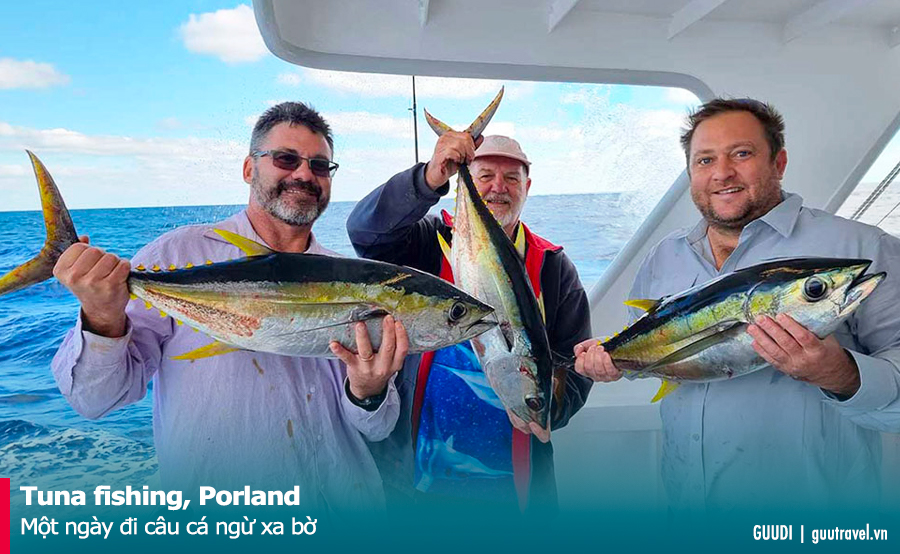 Tuna fishing, Porland