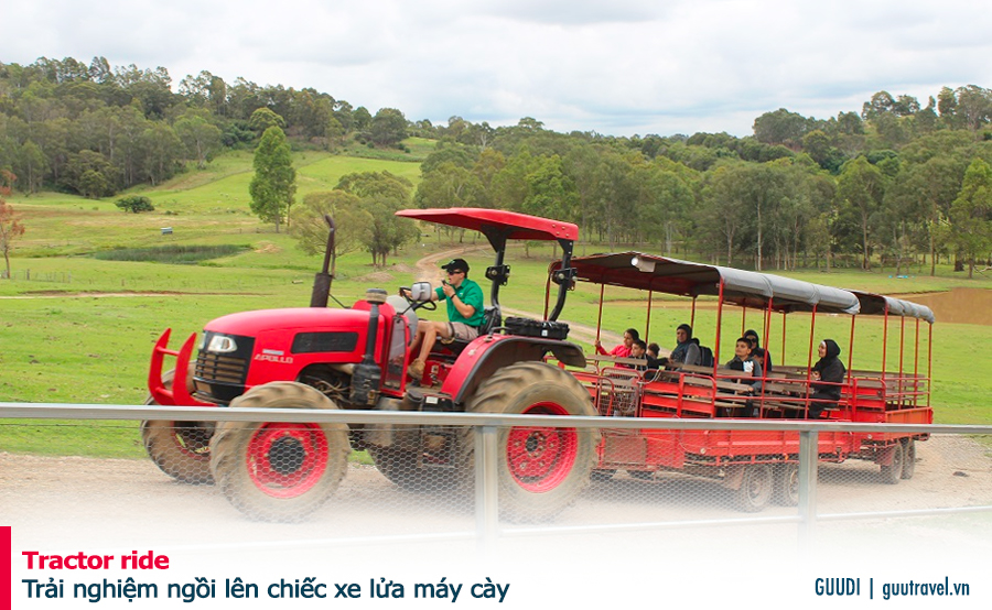 Trải nghiệm ngồi lên chiếc xe lửa máy cày và đi dạo một vòng trang trại