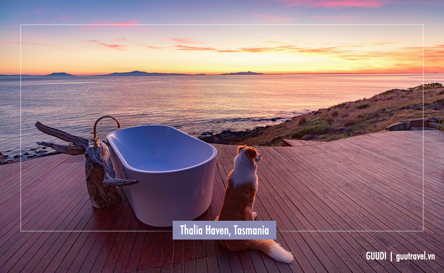 Thalia Haven, Tasmania