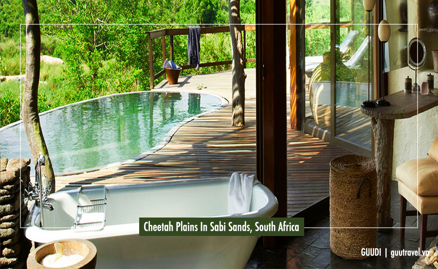 Cheetah Plains In Sabi Sands, South Africa