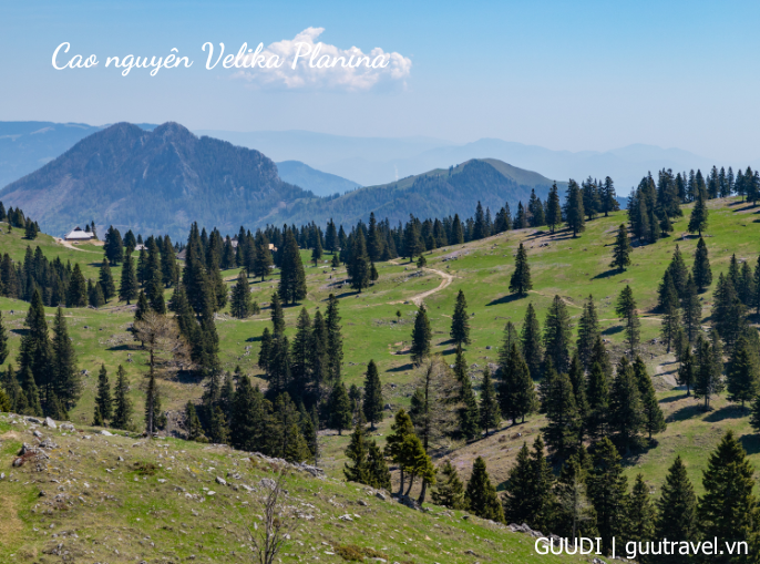 Khu vực đồng cỏ Velika Planina