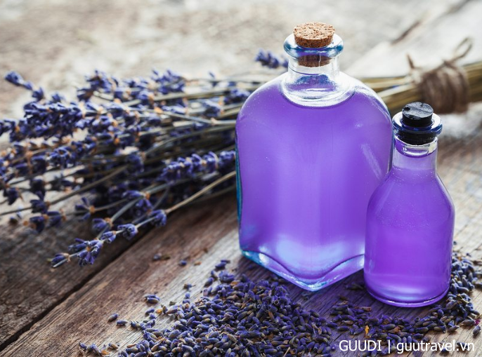 Tinh dầu Lavender