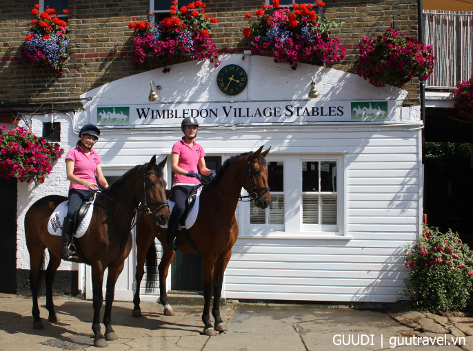 Wimbledon Village Stables sẽ cho bạn học cưỡi ngựa ở Common, hoặc thậm chí ở công viên Richmond gần đó
