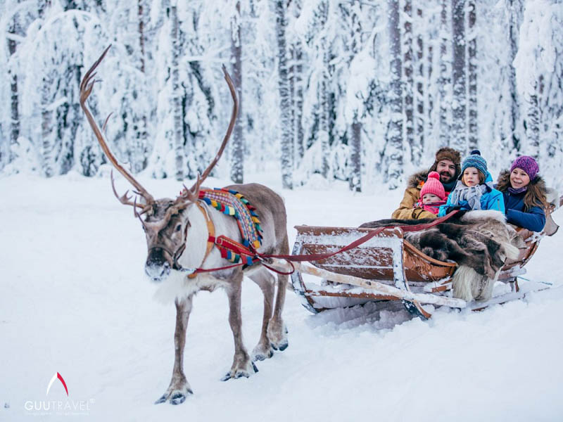 cưỡi tuần lộc ở Lapland