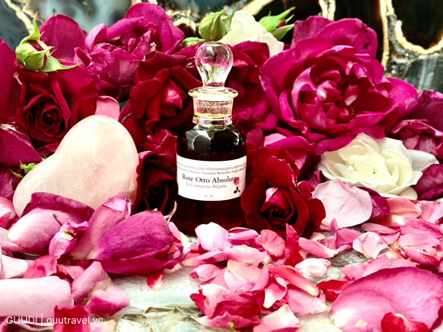 mua tinh dầu ở Bulgaria