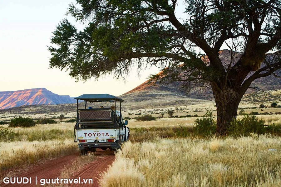 Trải nghiệm một ngày safari tại Namib