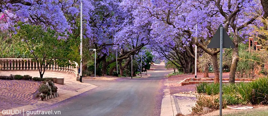 Thành phố Pretoria