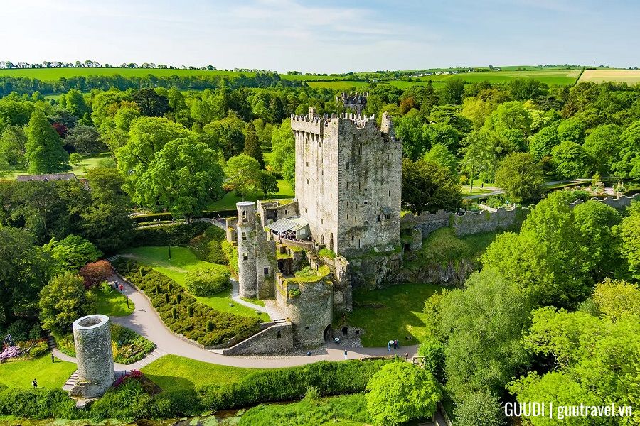 Khám phá cork ở Ireland