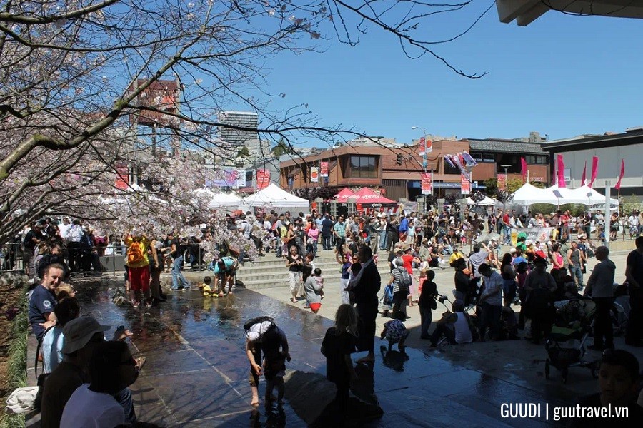 Lễ hội Hoa Anh Đào tại San Francisco, California