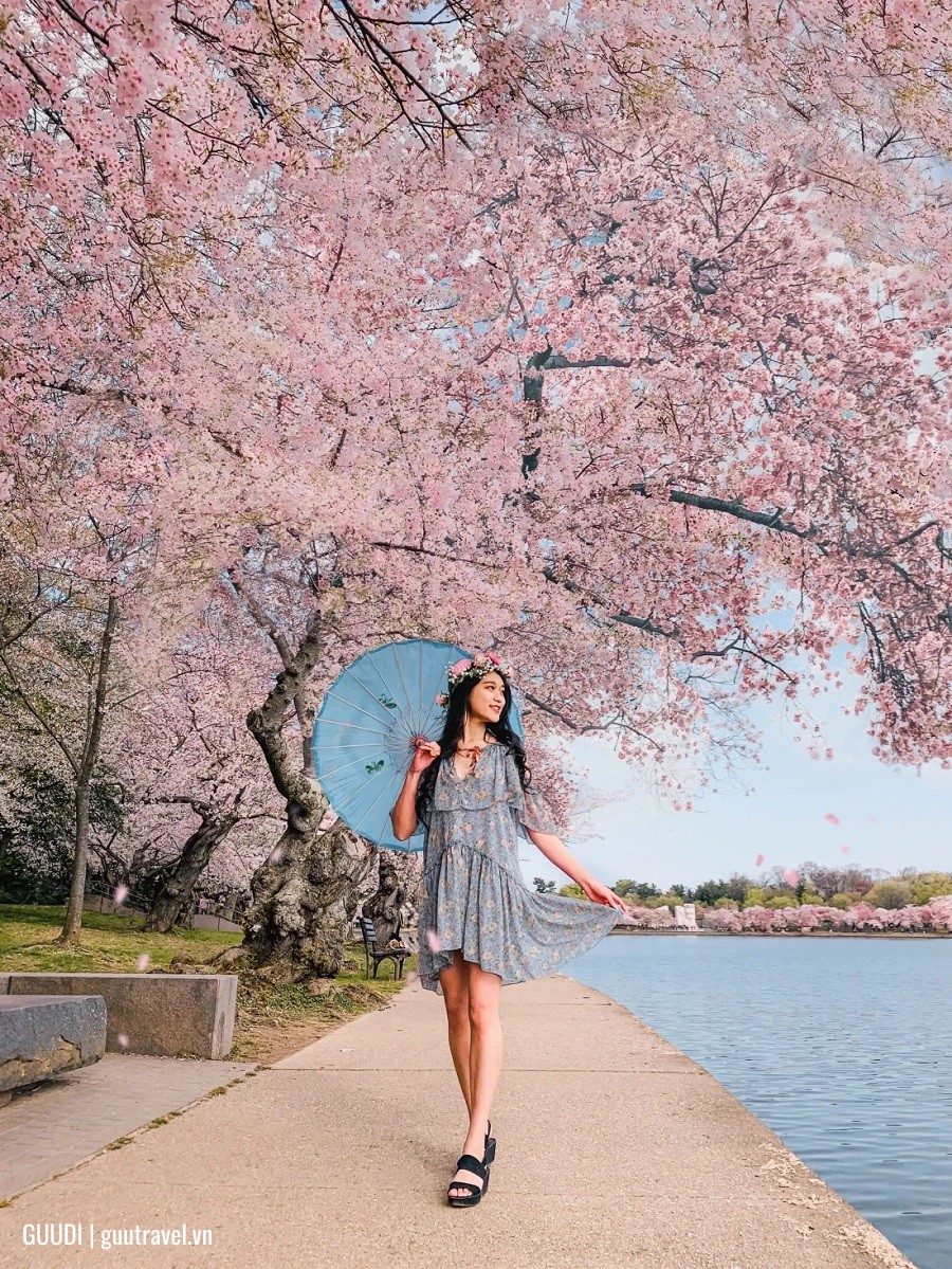 Check in Washington, D.C. – Hồ Tidal Basin
