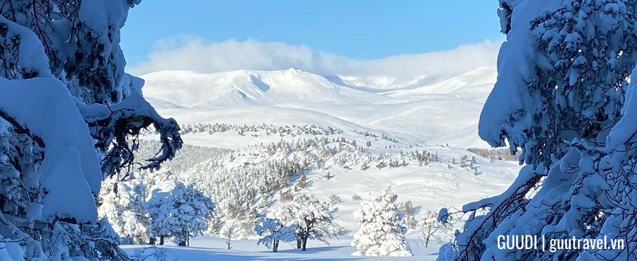 Cairngorms, Scotland