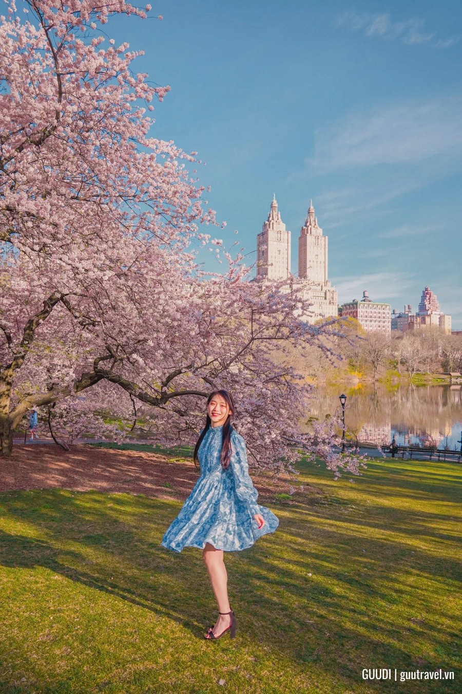 Kinh nghiệm du lịch mùa hoa anh đào ở Mỹ 2025