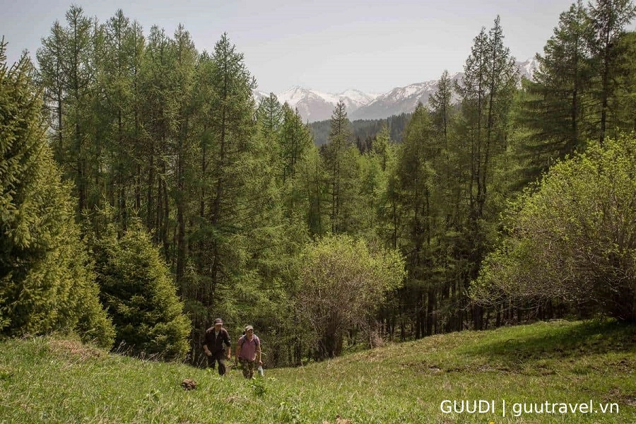 Rừng cây Ak-Suu & Suối nước nóng