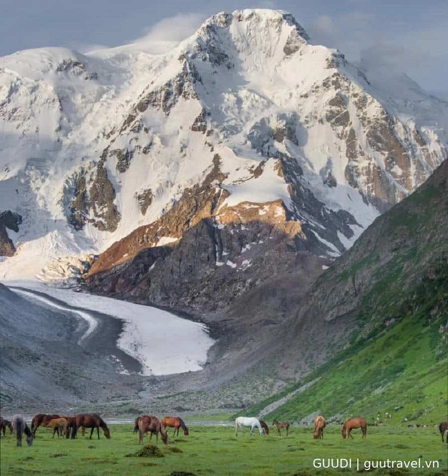 Trekking đến trại căn cứ Đỉnh Karakol