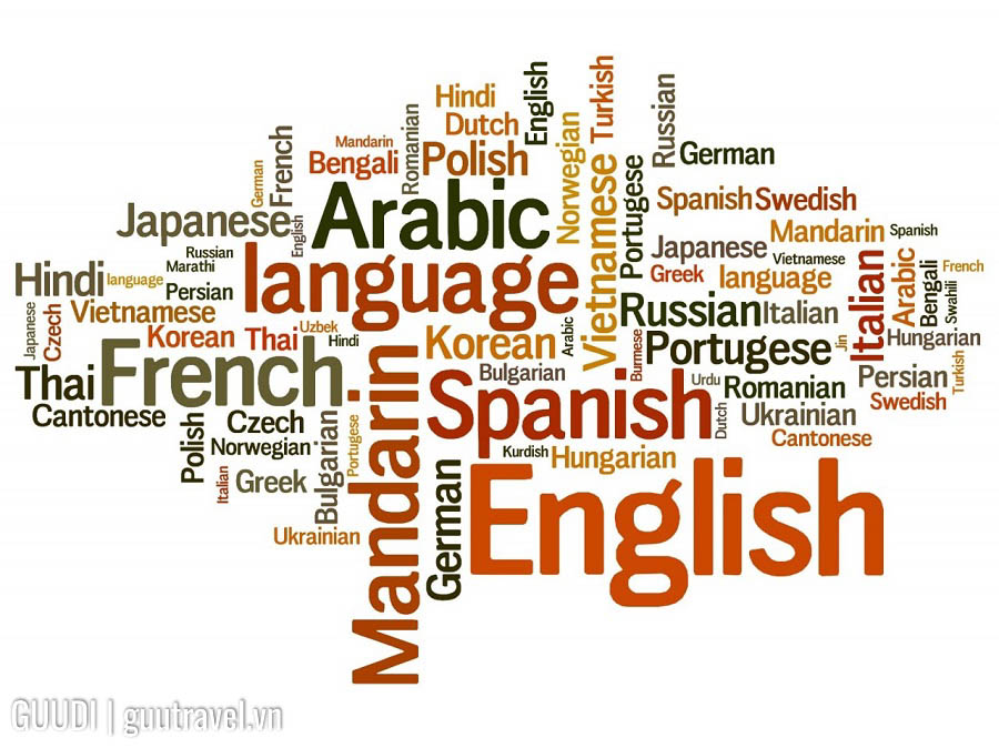 Ngôn ngữ ở Mỹ