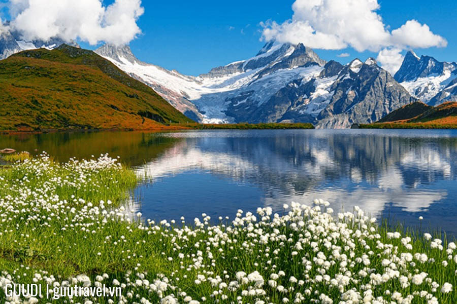 Du lịch Thụy Sĩ vào tháng 6