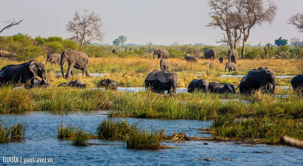 Caprivi Strip tại Namibia