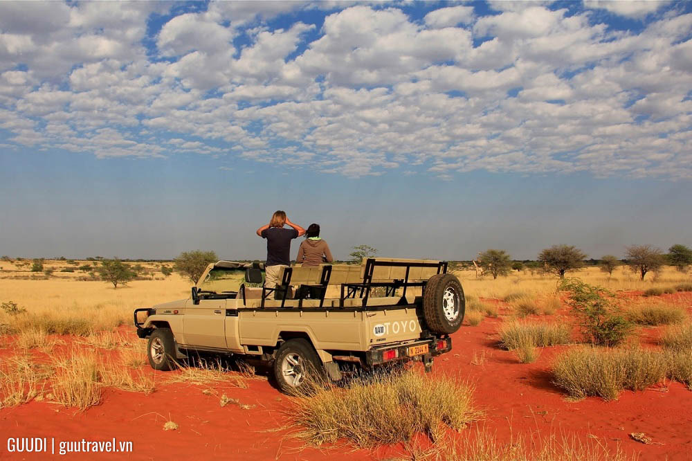 du lịch Sa mạc Kalahari tại Namibia