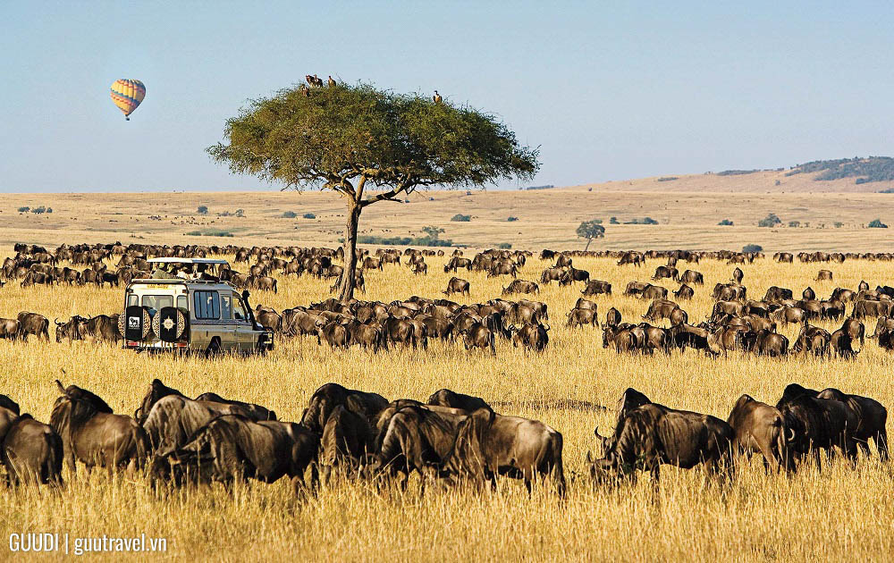 Khu bảo tồn quốc gia Maasai Mara