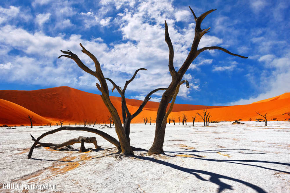 Deadvlei ở Namibia