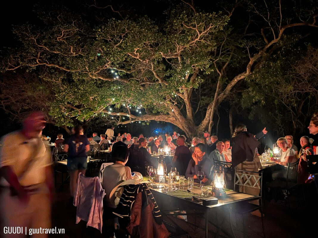 Tour du lịch nam phi
