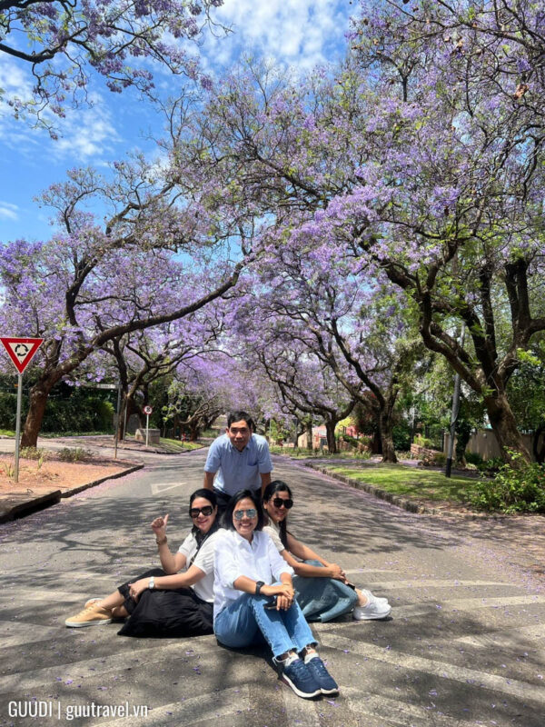 Tour du lịch nam phi