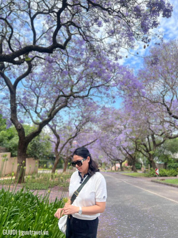 Tour du lịch nam phi