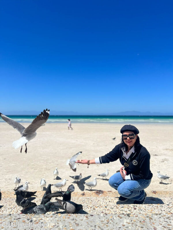 Tour du lịch nam phi