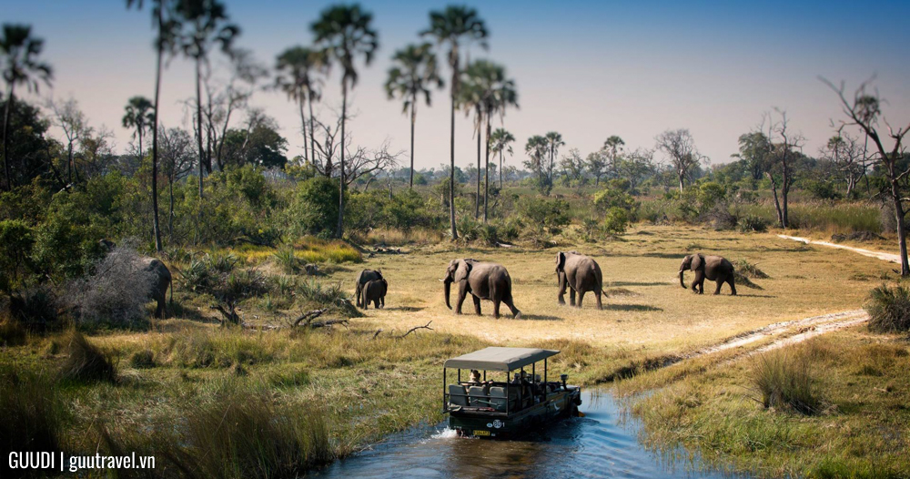 Công viên Quốc gia Chobe (Botswana)