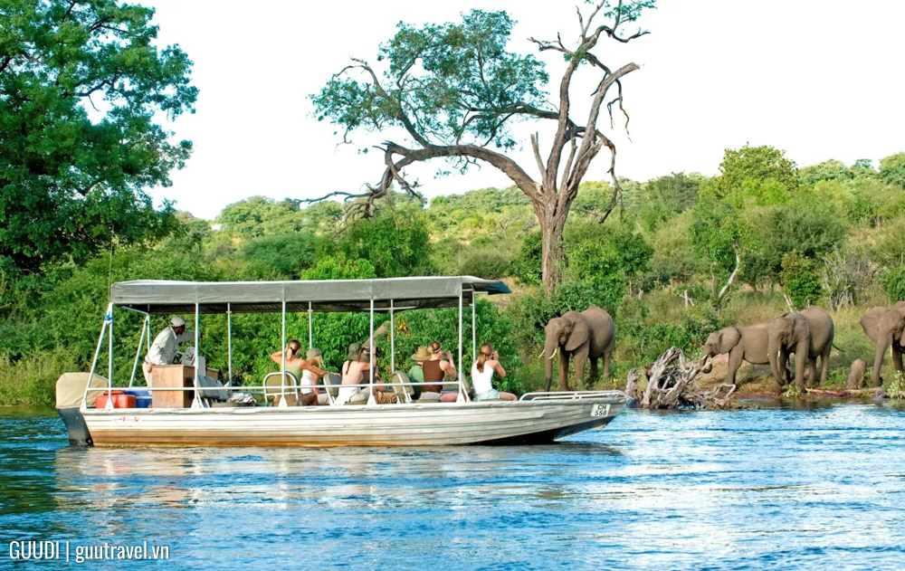 Chobe River Cruise – safari bằng thuyền
