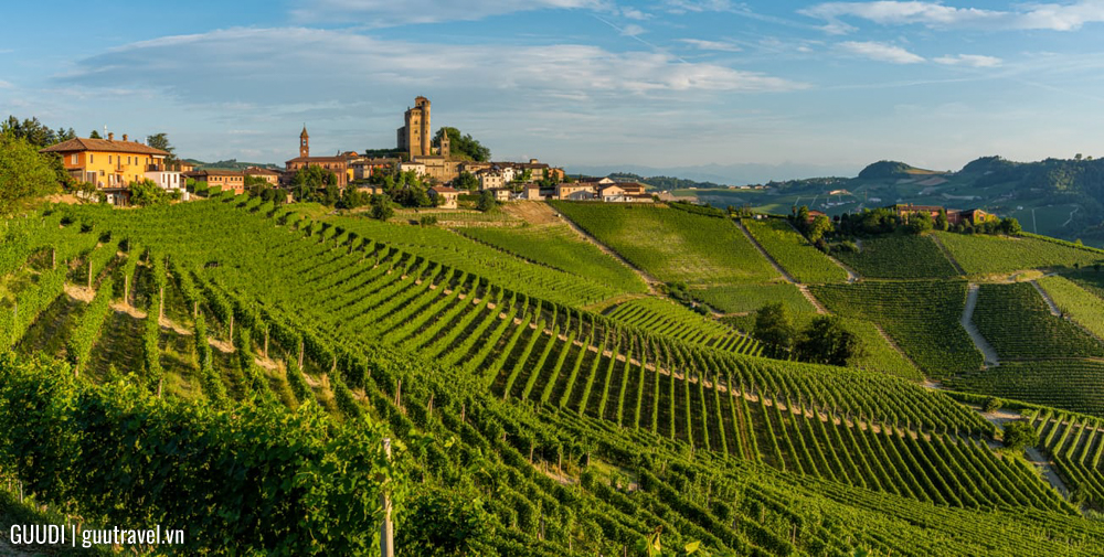 đồi Langhe