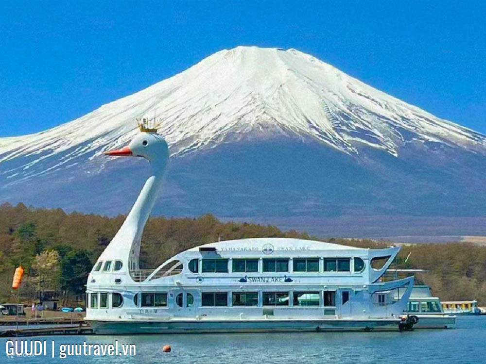 Du thuyền thiên nga trên hồ Yamanaka