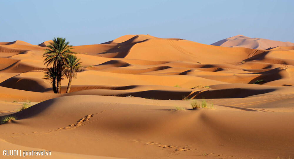 Đặc điểm tự nhiên của sa mạc Sahara