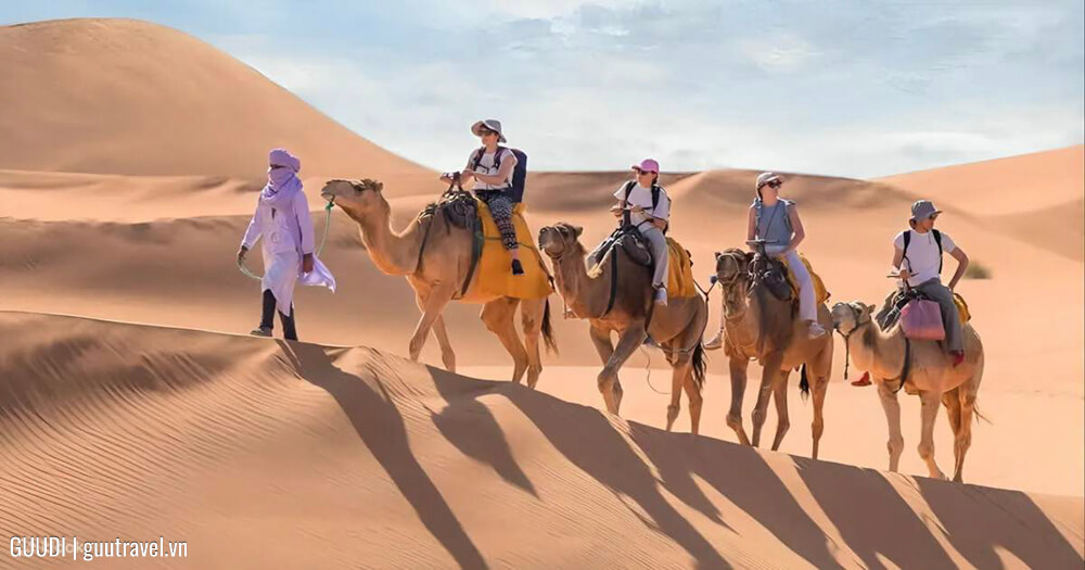 Du lịch sa mạc Sahara