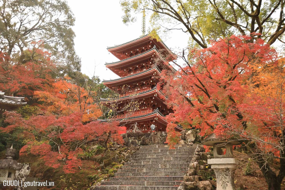 Ngôi chùa Chikurinji Temple