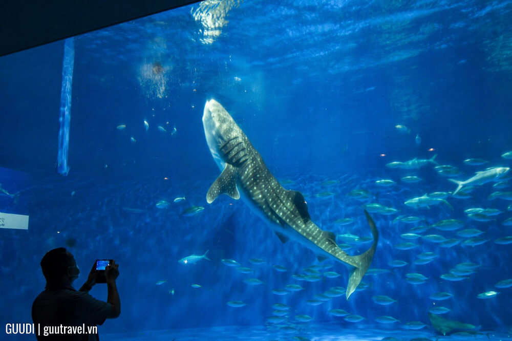 Kagoshima City Aquarium