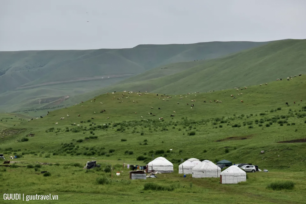 Yurt Camp khu vực Assy Plateau, kazakhstan